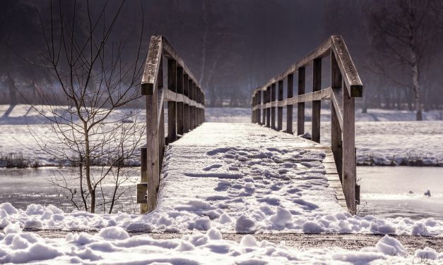 The History of a Wooden Bridge