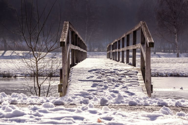 Wooden Bridge